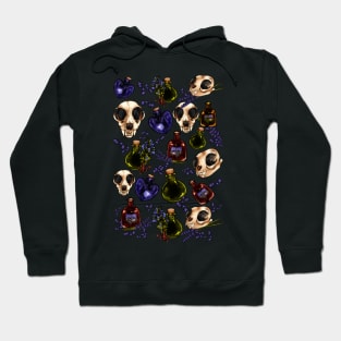 Spell Jars Cat Skulls and Herbs in Black Hoodie